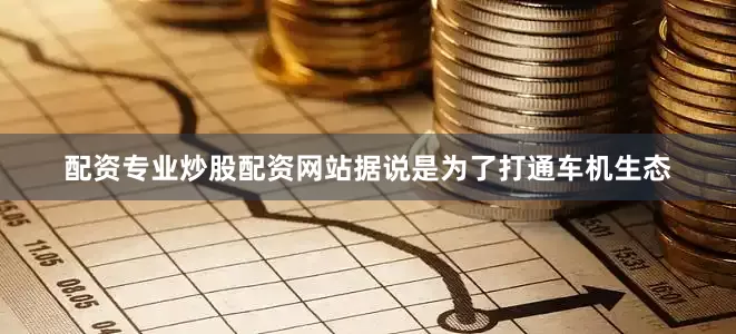 配资专业炒股配资网站据说是为了打通车机生态