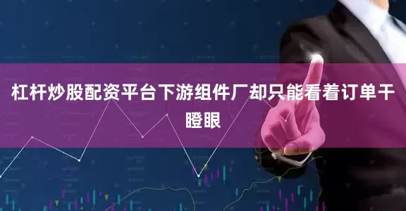 杠杆炒股配资平台下游组件厂却只能看着订单干瞪眼