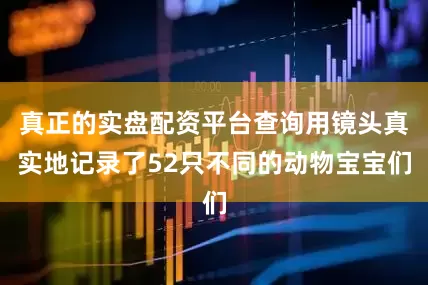 真正的实盘配资平台查询用镜头真实地记录了52只不同的动物宝宝们