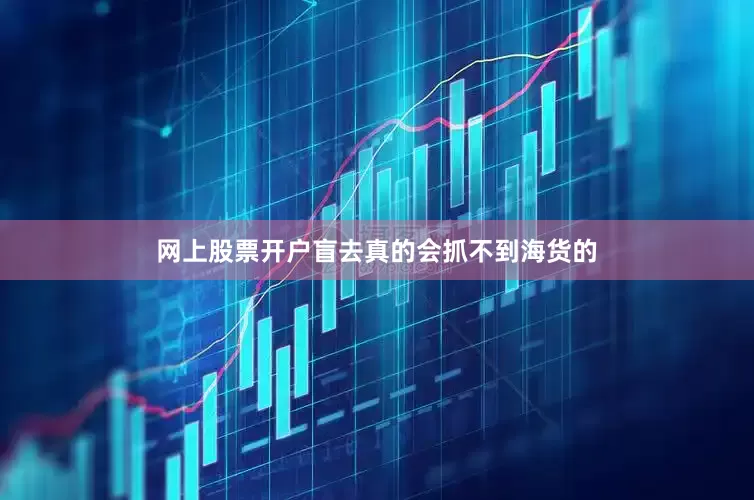 网上股票开户盲去真的会抓不到海货的