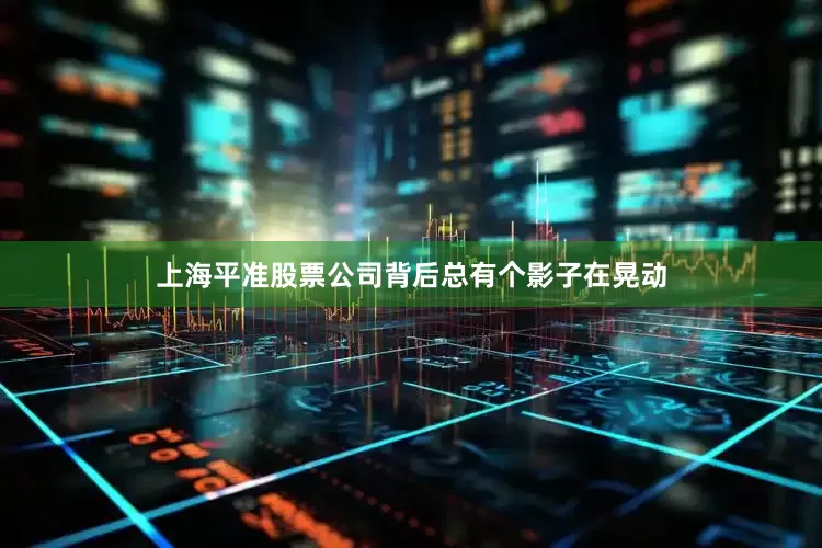 上海平准股票公司背后总有个影子在晃动